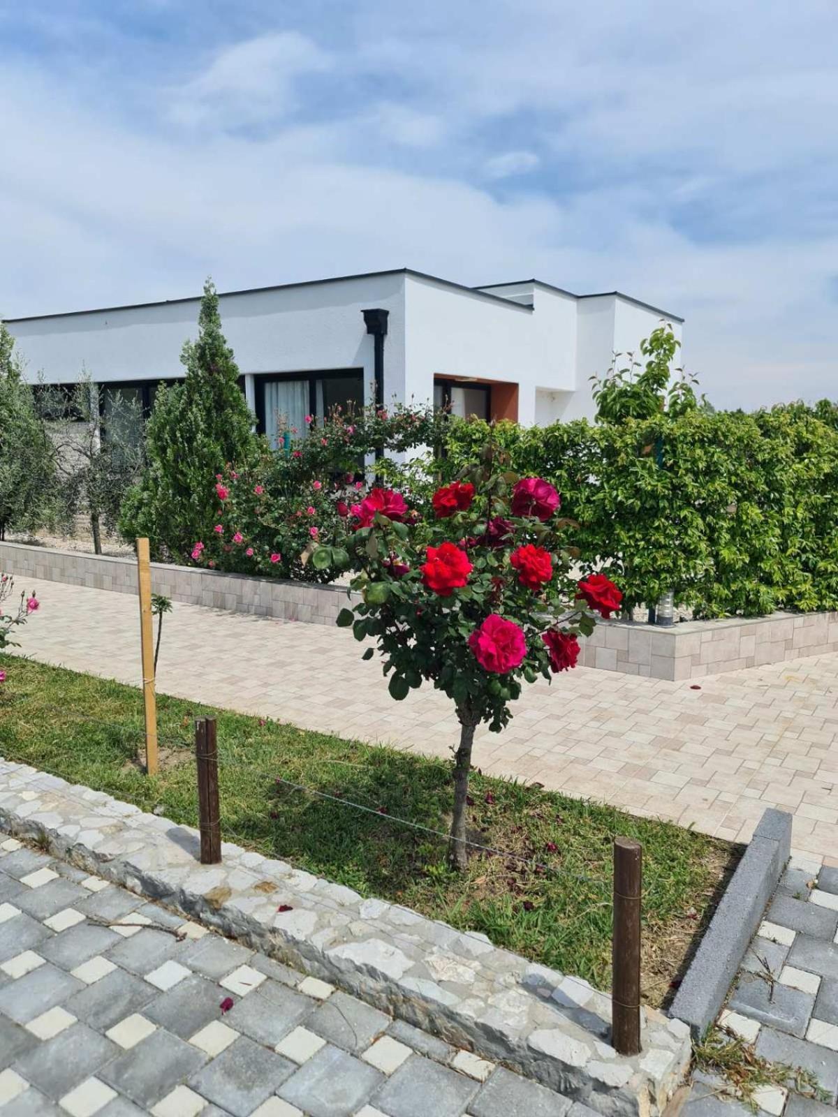 Imperial Family Resort 울친 외부 사진
